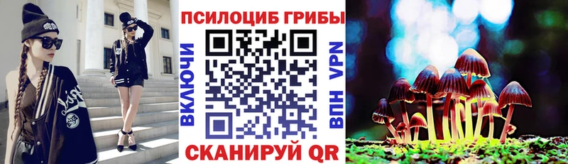 Галлюциногенные грибы Cubensis  Купить где  Монино